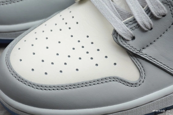 HIGH BOX DIOR JORDAN 1 SHOE X (DIOR CN8607-002 ) OG CN8607-002 AIR 1110